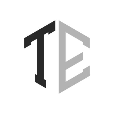 Modern Eşsiz Altıgen Mektup TE Logo Tasarım Şablonu. Zarif ilk TE Mektup Logosu Kavramı