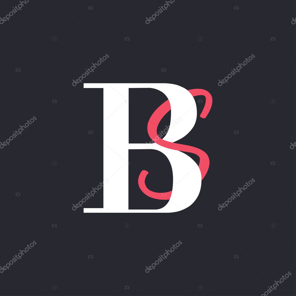 Letter BS Logo. Perfectly Blended Initials BS Letter Logo Design