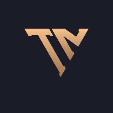 TN Logo Tasarımı. Modern, Minimal, Zarif ve Lüks TN Logosu. Özel Üçgen Monogram Marka Şirket Kimliği için TN Logo Tasarımı.