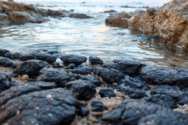 Kumsalda kara deniz taşları
