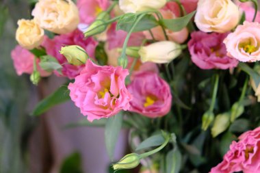 Güzel buket çiçek, görünümü kapatın