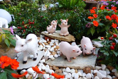 Hong Kong, Çin - 14 Ocak 2024: Shing Mun Vadisi Parkı, Tai Wo Hau, Hong Kong.