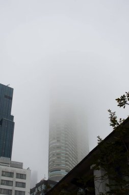 Hong Kong, Çin - 4 Şubat 2024: Tsim Sha Tsui 'de yoğun sis havası.