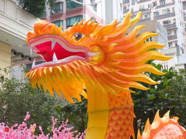 Hong Kong, Çin - 5 Şubat 2024 Wan Chai 'de Lee Tung Bulvarı, Çin ejderhası baş süslemesi, fotoğraf çeken insanlar.