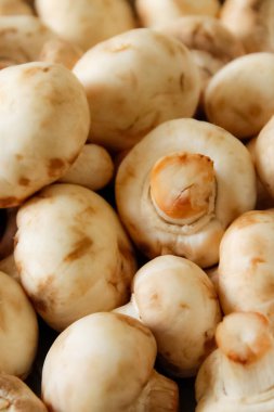 Taze beyaz organik mantarlar sepette, yakın plan -.