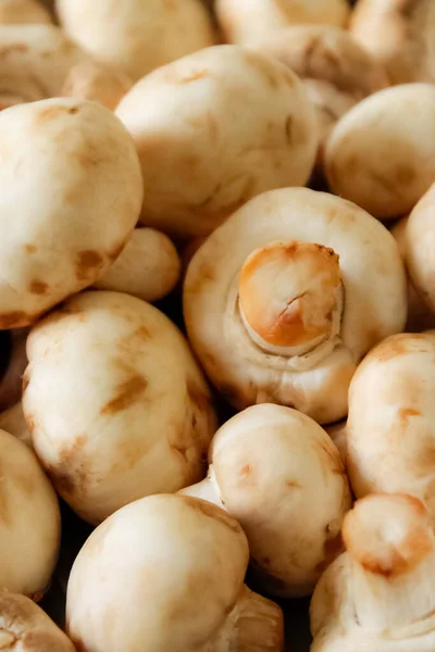 Taze beyaz organik mantarlar sepette, yakın plan -.