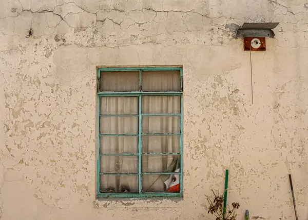 Terk edilmiş bir evin, bitkilerin ve Meksika bayrağının, su rengine boyanmış bir pencerenin fotoğrafı unutuldu..