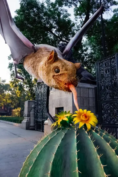 Geçici Sergi QUIROPTERA Dev güney uzun burunlu yarasa (Leptonycteris curasoae) Meksika 'da Chapultepec' te Lions Door 'un yanına monte edildi