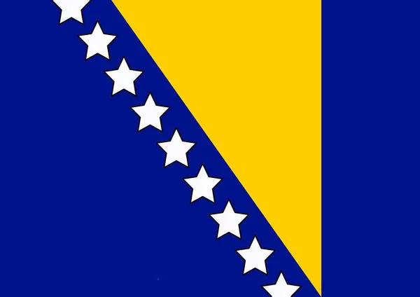 Dünyanın okul, ülke ve Bosna-Hersek bayrakları, Bosna-Hersek bayrağı.