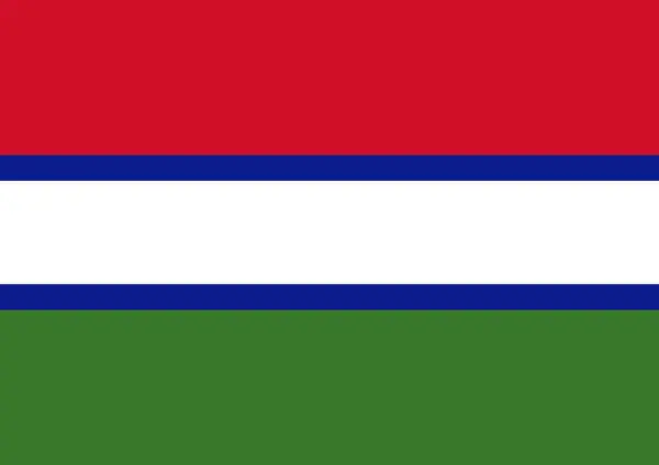 Dünyanın okul, Gambiya bayrağı, Gambiya bayrağı 