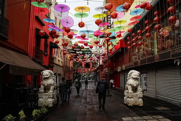 San Juan Moyotlan 'daki Çin Mahallesi' nin (Barrio Chino) ana caddesinin fotoğrafı, Mexico City 'deki Centro Histrico' nun bir mahallesidir.