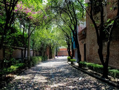 Sabah Mexico City 'de dar sokaklar taşla kaplıydı.