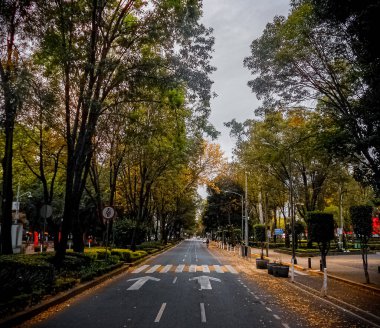 Trafiğin olmadığı bir cadde, sabahın erken saatlerinde, bir sonbahar gününde.