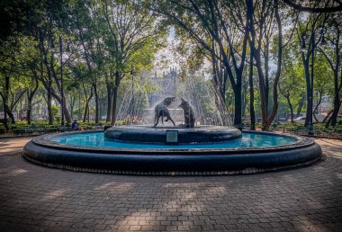 Coyoacan 'daki Jardn Centenario' ya heykeltıraş Gabriel Ponzanelli 'nin çakalların çeşmesi.