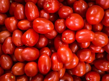 Kırmızı, taze ve organik domates yığını. 