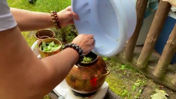 Women Making Hydrolat Mint Leaves High Quality Footage — Stock Video