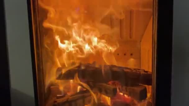 オープンファイアストーブ 暖炉の中の大きな炎 高品質のフルHd映像 — ストック動画