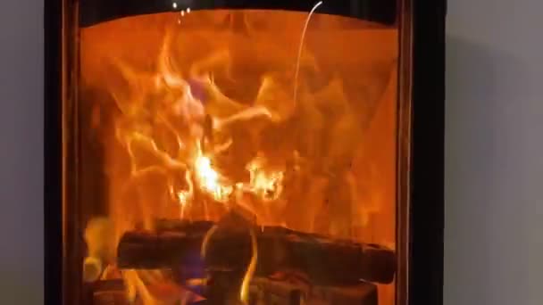Открыть Огонь Плиты Большое Пламя Камине Высококачественные Fullhd Кадры — стоковое видео