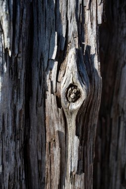 Çok eski bir denizin dokusu ahşabı bulanık bölgelerle yıkadı. Yüksek kalite fotoğraf