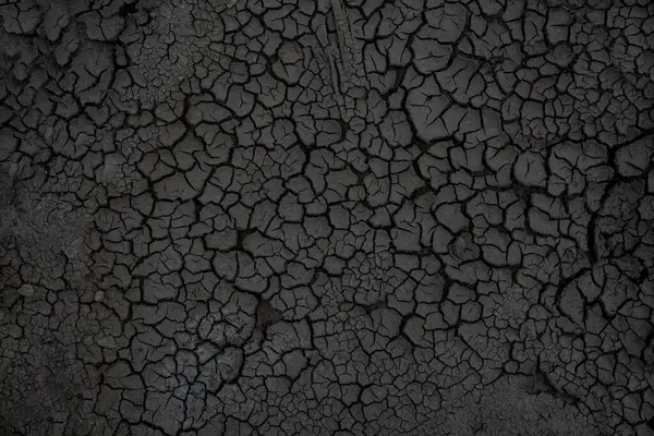 Gray dried and cracked ground earth background, black cracked texture, for designers. High quality photo