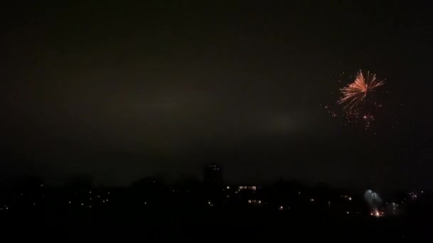 Capodanno Città Vilnius Con Sacco Fuochi Artificio Filmati Alta Qualità — Video Stock