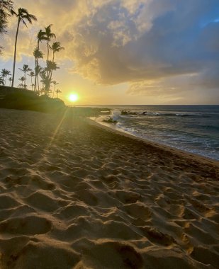 Hawaii sahilinin güzel manzarası