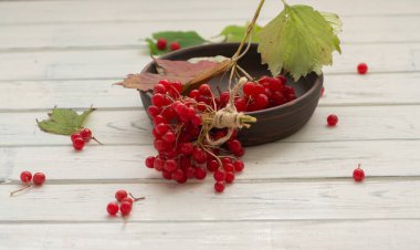 Beyaz arka planda taze viburnum çilekleri olan bir kase. Yakın plan..