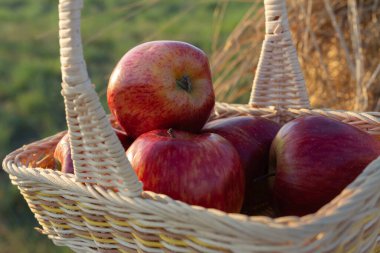 hasır sepet içinde kırmızı elmalar.