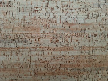 Doğal mantar arka planı. Mantar arkaplanının kapatılması