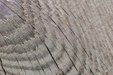 Tahta arkaplan. Arkaplan için