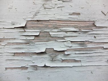 Peeling boya ahşap tahta arka plan beyaz