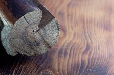 Spike Dracaena Yerli vizesi taze 