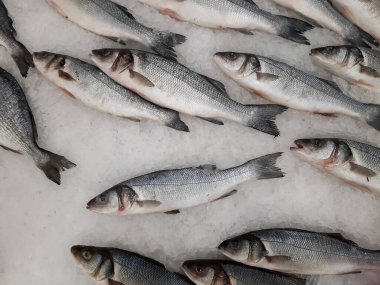 Mağazanın üst manzarasında taze balık