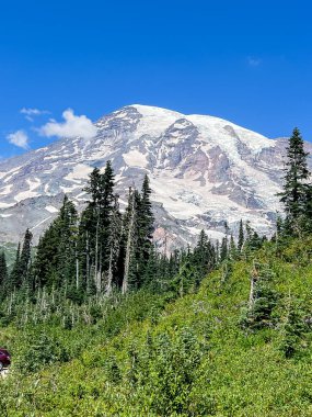 Washington 'daki Rainier Ulusal Parkı