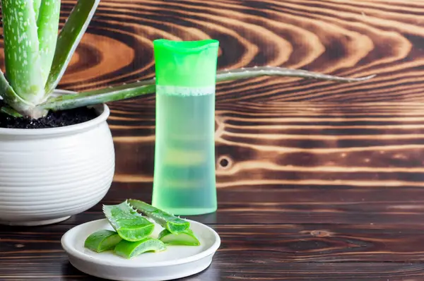 Aloe vera fabrikası ahşap arka planda yakın plan