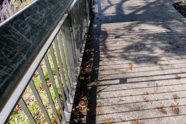 Sonbaharda ağaçtan gelen kırmızı yaprak arkaplanı kapatır