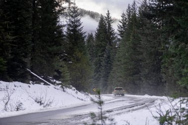 Ormanın ortasında kar, sadece uzak erişim yolları ile ulaşılabilir.