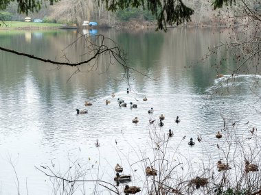 Sonbahar, ağaçların ve göldeki evin yansıması. Arkaplan için manzara