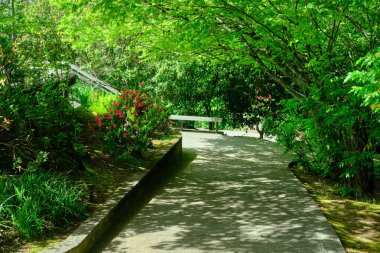 Snoqualmie, Washington, ABD Alacakaranlıkta Snoqualmie Şelalesinde