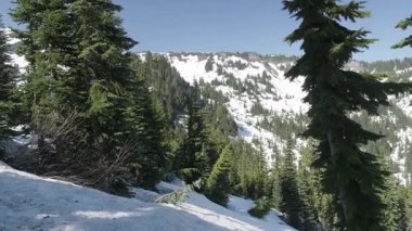 Mount Rainier Ulusal Parkı ABD.