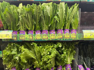 Milton WA USA, 12 Mart 2025 Pazar vitrininde çeşitli organik sebzeler var - havuç, soğan, pancar, lahana, patates, yeşillik