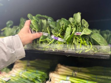 Milton WA USA, 12 Mart 2025 Pazar vitrininde çeşitli organik sebzeler var - havuç, soğan, pancar, lahana, patates, yeşillik