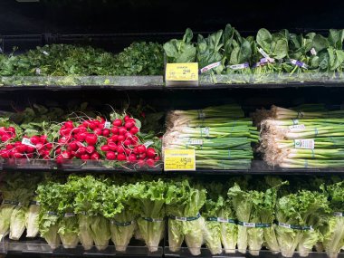 Milton WA USA, 12 Mart 2025 Pazar vitrininde çeşitli organik sebzeler var - havuç, soğan, pancar, lahana, patates, yeşillik