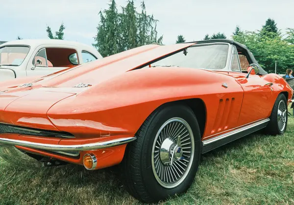 Auburn WA USA, 4 Temmuz 2025 - Klasik bir 4 Temmuz geleneği için klasik ulaşım meraklıları Les Gove Park 'ın antika arabalarına, kamyonlarına ve motosikletlerine hayran kalabilirler