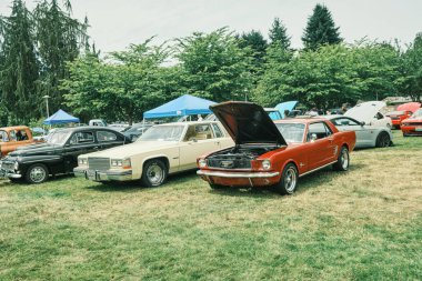 Auburn WA USA, 4 Temmuz 2025 - Klasik bir 4 Temmuz geleneği için klasik ulaşım meraklıları Les Gove Park 'ın antika arabalarına, kamyonlarına ve motosikletlerine hayran kalabilirler