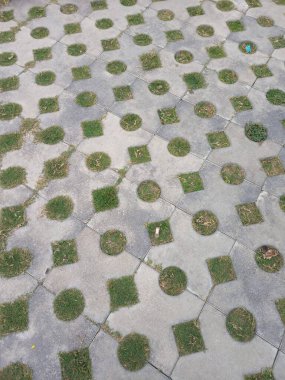 Çimenli asfalt çukurlarda büyür.