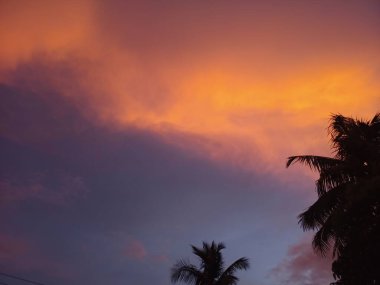 Güzel gün batımı gökyüzü ve sahilde hindistan cevizi ağacı silueti.