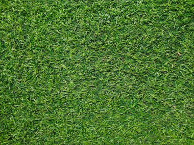 Yeşil çimen dokusu. Yeşil çimen deseni. Yeşil çimen arkaplanı.