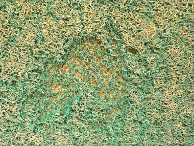 Yeşil sünger dokusu arka planı. Arkaplan için yeşil sünger dokusunun kapatılması.