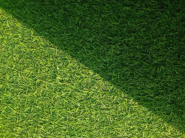 Futbol veya futbol maçı için yeşil çimen dokusu.